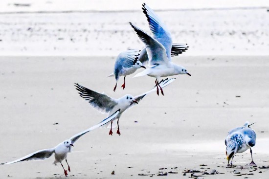 �y�����r�� | ů��֮��