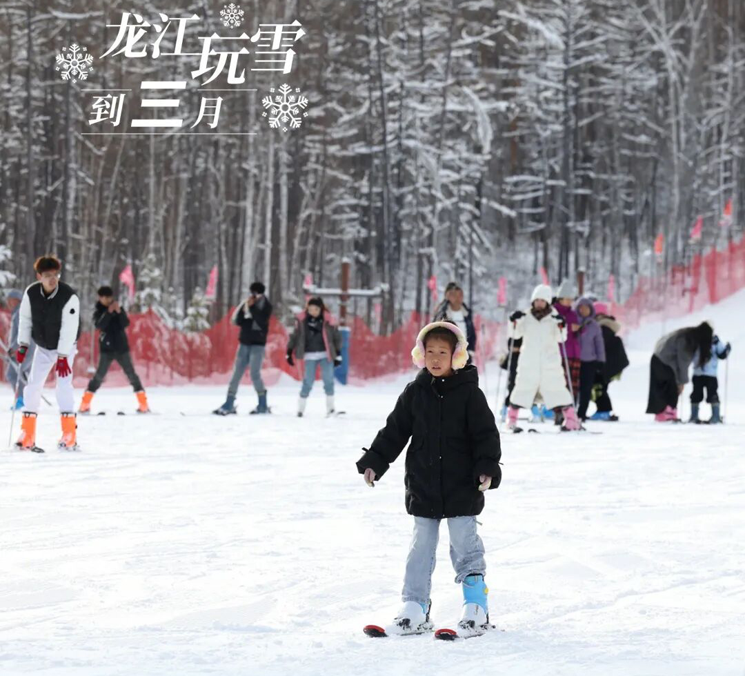 ������ѩ������������