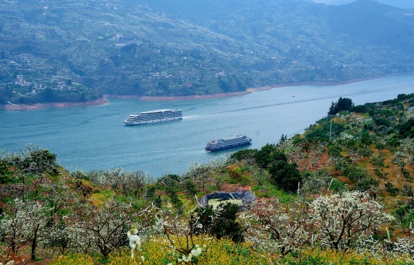 ��ɽ��Ұ�ʢ�_���R�ȑc�z