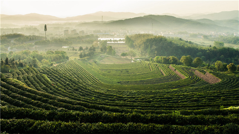 ��һ����@