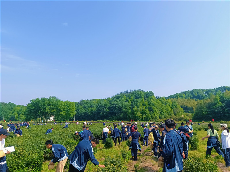 ��ɽ���_�躣�ЌW�I�ء�