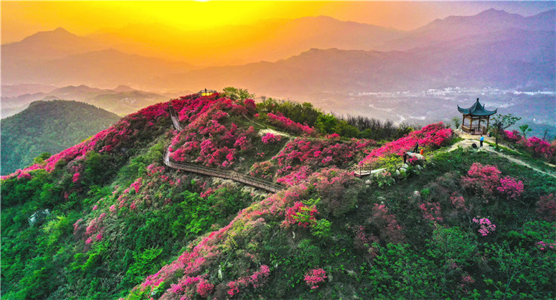 �X���_�Mӳɽ�t