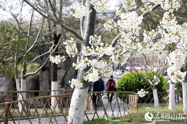 ��������?zh��)����@��(n��i)�ѻ��`�������˱M��Ȫ�ϴ��⡣����W(w��ng)ӛ�� �����z