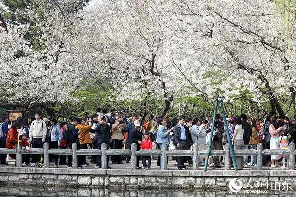 �ѻ��c��ˮ��ӳ�����������οʹ�����������W(w��ng)ӛ�� �����z