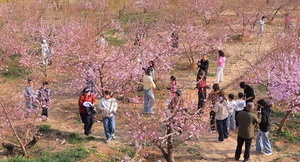 �ο��������g�p���������w�Ȼ�z