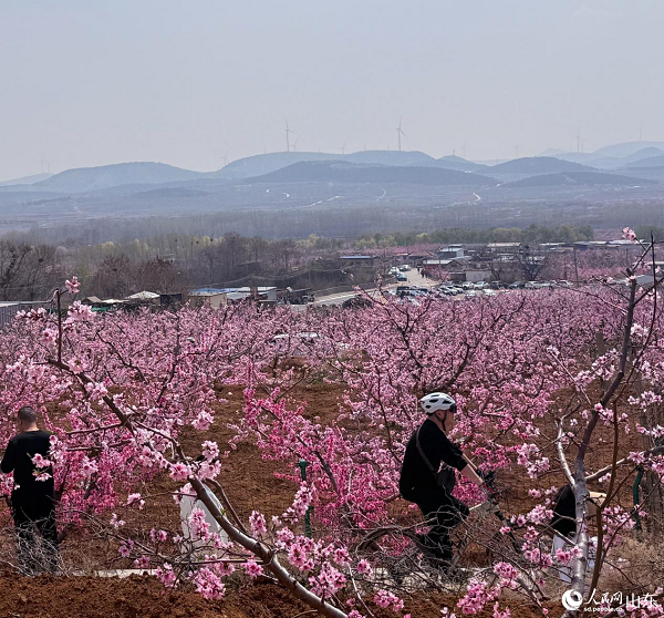 �ο͂��ڻ����д��У���ͬ�������ˡ�������W(w��ng) ���ͯ�z