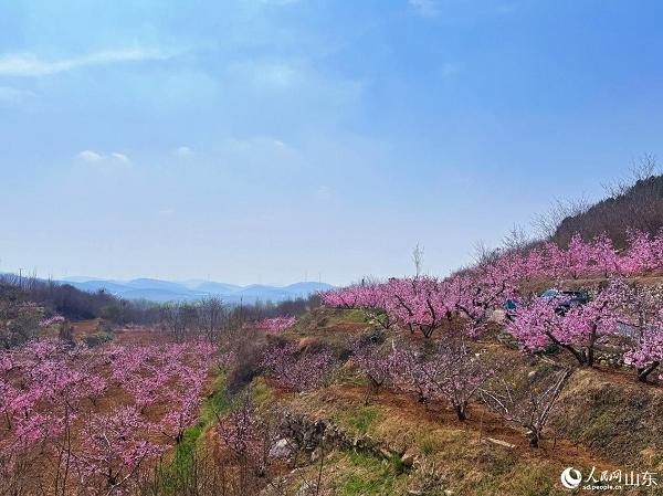 �f�����ַ���ʢ����ɽ�g��Ϸ�ɫ����������W(w��ng) ���ͯ�z