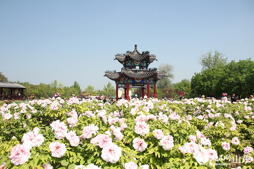 �ںʝ��в���ĵ���@��(n��i)��ĵ������(j��ng)��`��������W(w��ng)ӛ�� �δ�z