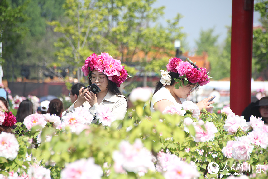 �ο��^��ĵ���������������մ򿨡�����W(w��ng)ӛ�� �δ�z