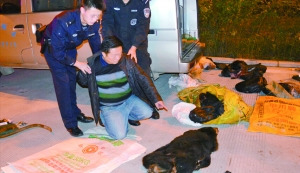 Ұζ�����Ѫɫ�a(ch��n)�I(y��)朣���˽�lΣ�����ܫ@��10������