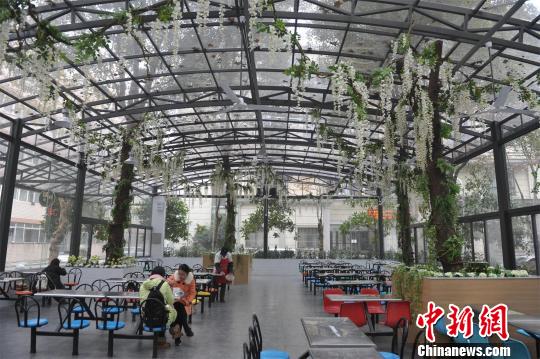 ��hһ��У����&ldquo;ɭ�ֲ͏d&rdquo;