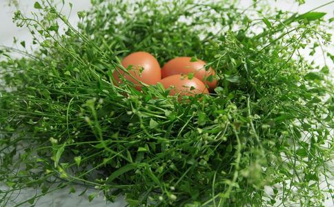 �����B(y��ng)��ʳ�V����Щ ������ʲô�B(y��ng)�� ��������B(y��ng)��