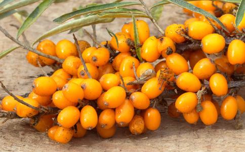 ɳ���Ĺ�Ч����Щ ɳ����ʲô���� ɳ����ʲô��������