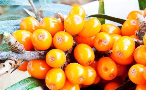 ɳ���Ĺ�Ч����Щ ɳ����ʲô���� ɳ����ʲô��������