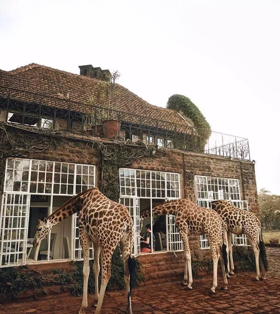 ȫ��ʮ�����͏d�������ٲ��������ڱO(ji��n)�z���]