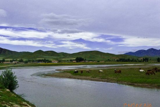 ����ľ����