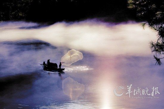 ���W(w��ng)����