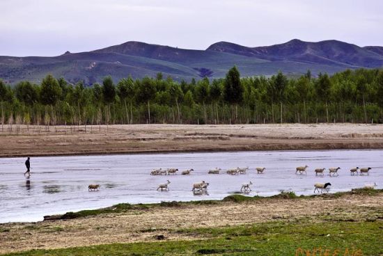 ��߅��������