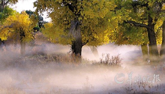 �峿�������еĳ��F�q��ͯԒ�ɾ� �w���� �z