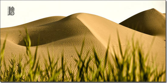 ����������D������������ɳĮ �D���������ݵ����˲���