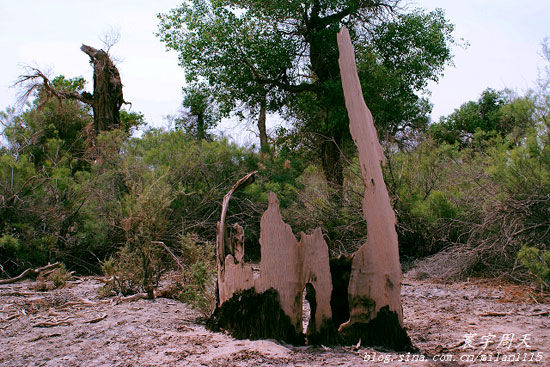 ����������D���п��ܕ�(hu��)���F(xi��n)����һ��(g��)ǧ��Ŀո� �D�������������˲���