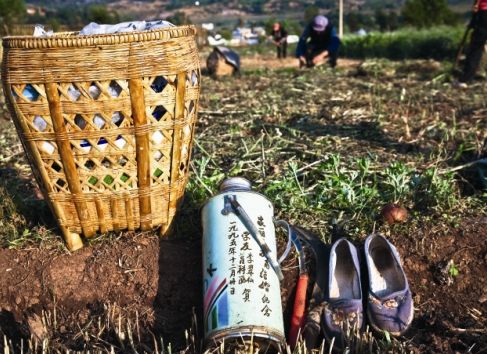 �㌍(sh��)������