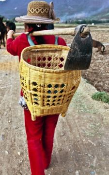 ��(d��ng)?sh��)��? width=