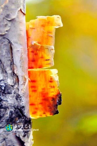 ��ҲҪ�����R