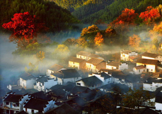 �����Ĵ���