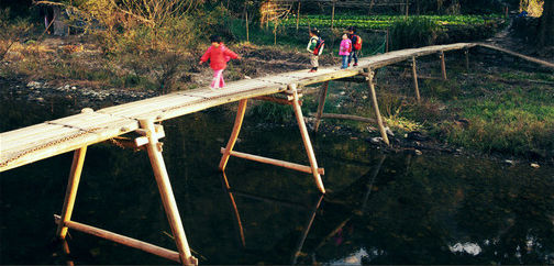 ��(d��)ľ��