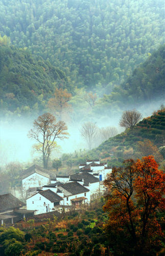 ������ɫ