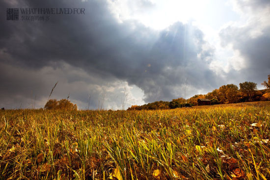 ���ƺ�Ȼ���F(xi��n)