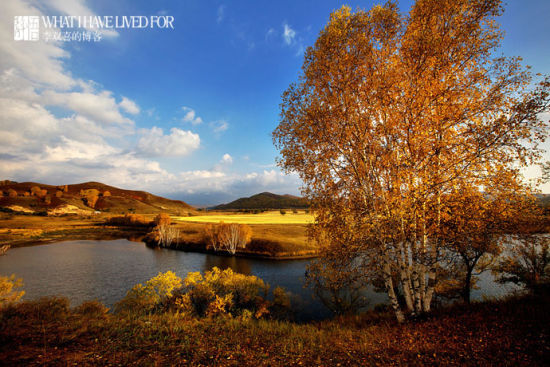 �{����������S�Ĳݵغ͘�