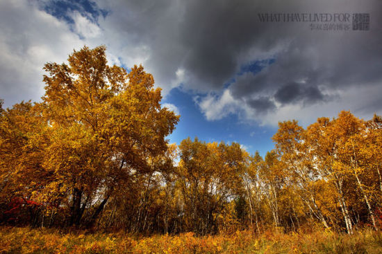 ���m���y(t��ng)�������Ĳ�ԭ