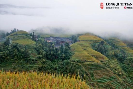 ���Օr��(ji��)