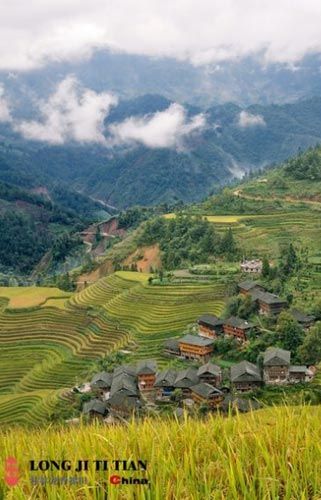 ���������ڸ�̎