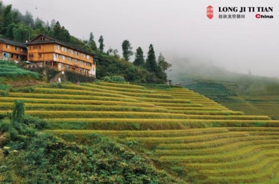 һ�K�K����