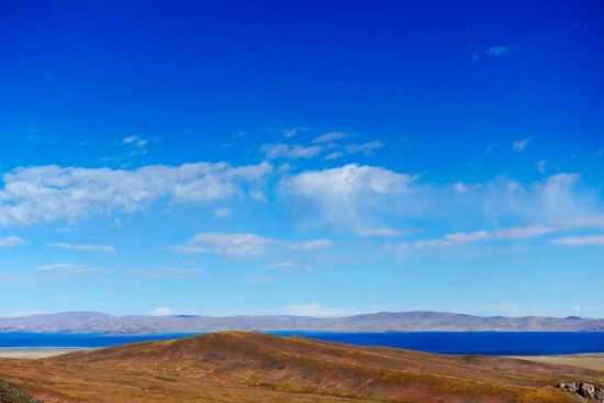 ���Ҳ���{(l��n)