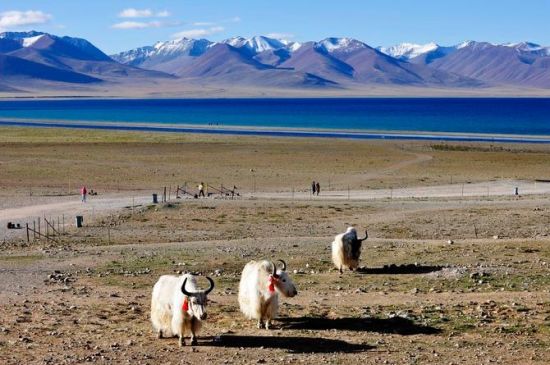 ʥ���{ľ�e(cu��)