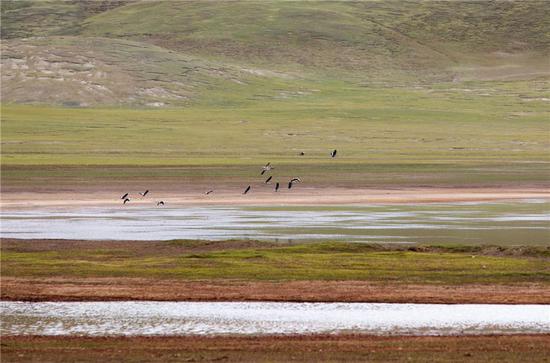 ѩ���ԭ�ϵğo�M֮��