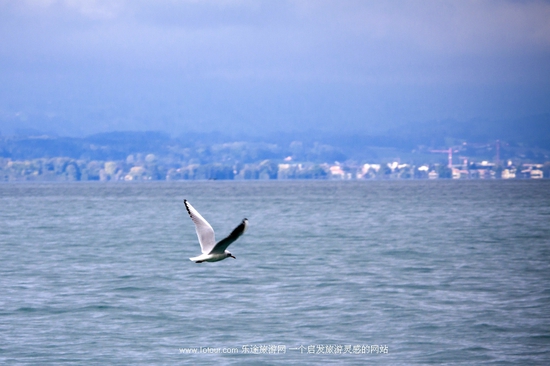 ��ʿ�ϵ۵��p����͸�����`���L(f��ng)��