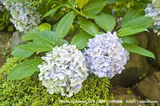 �ձ���ʡ�X���E���_ �ͽo��ĩ�¹���