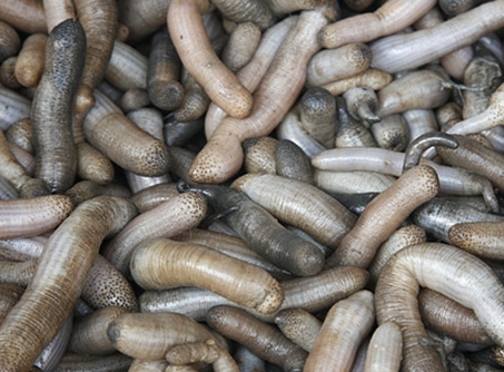 ���������Ă�ʡ�е�ʳ�����ؿ�ζ