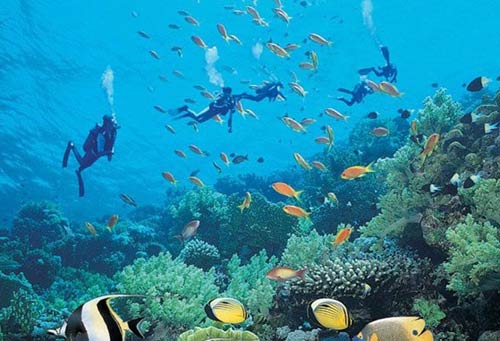 ���x�F�� ȥ�@Щ���������ϴϴ�ΰ�