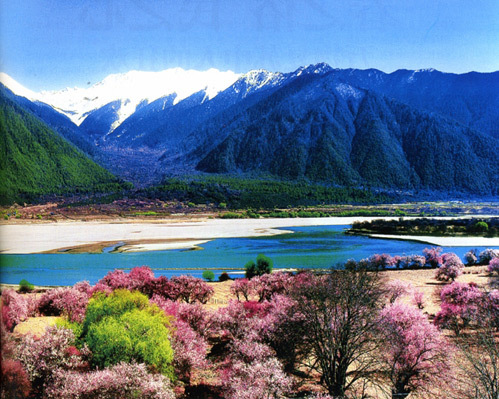 ���x�F�� ȥ�@Щ���������ϴϴ�ΰ�