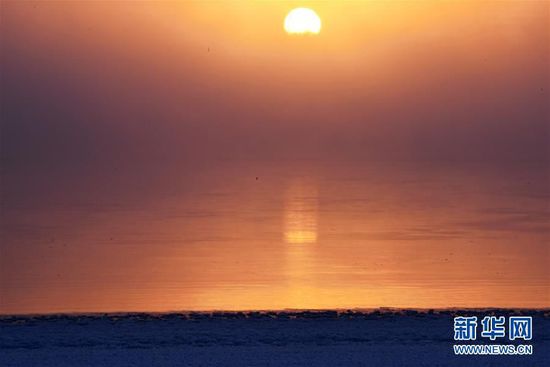 ���������������ս罭������