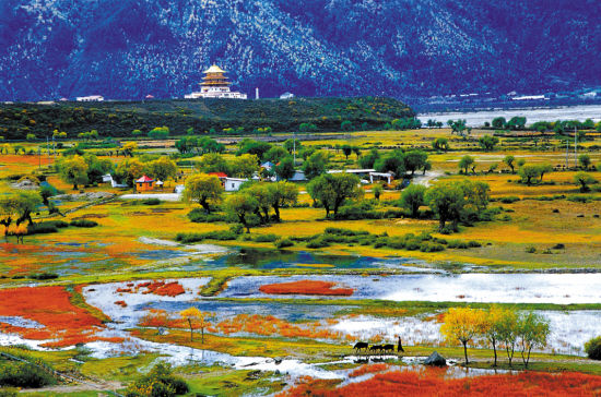 ���x�F�� ȥ�@Щ���������ϴϴ�ΰ�