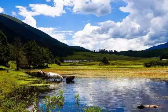 ����ʮ�����ȥ֮�� ��֪��������