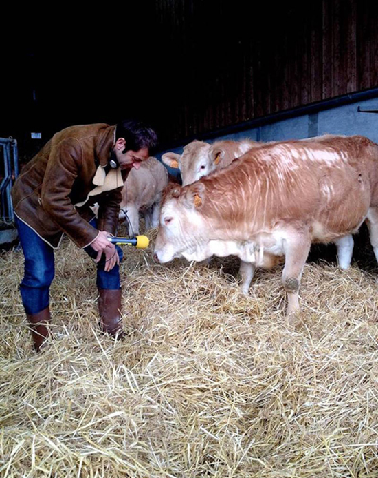 ��һ��Ҫ�����B�@��������피�����rţ��