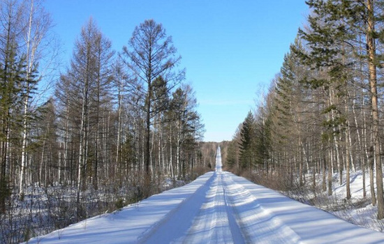 �@��Ķ����ж��� ѩ�����ж���